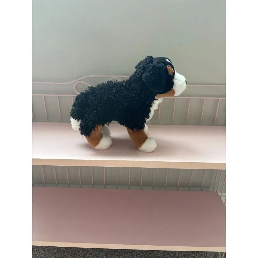 Douglas miranda bernese mountain dog